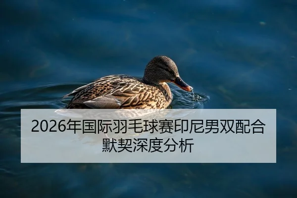 2026年国际羽毛球赛印尼男双配合默契深度分析