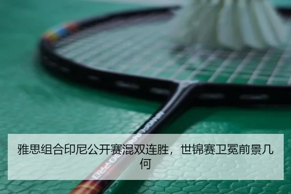 ya-si-zu-he-yin-ni-gong-kai-sai-hun-shuang-lian-sheng-shi-jin-sai-wei-mian-qian-jing-ji-he-3-927.jpg