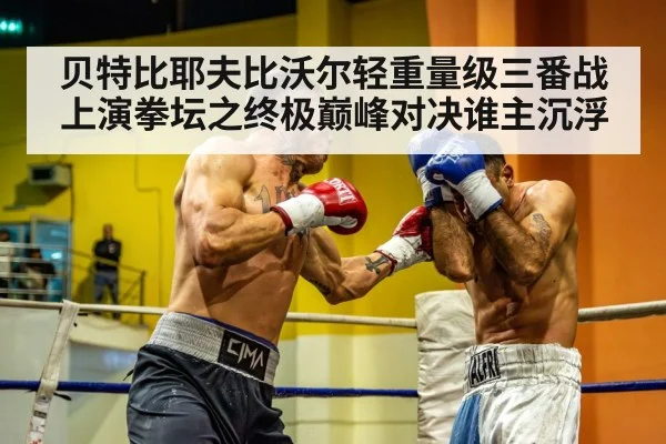 贝特比耶夫比沃尔轻重量级三番战上演拳坛之终极巅峰对决谁主沉浮